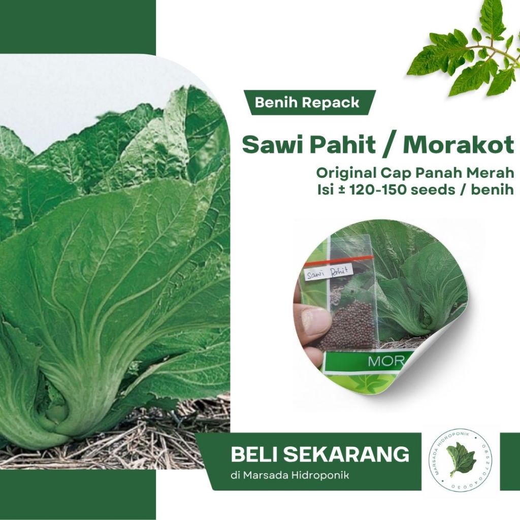 Benih Bibit Sawi Pahit / Sawi Asin Morakot Cap Panah Merah Kemasan Repack