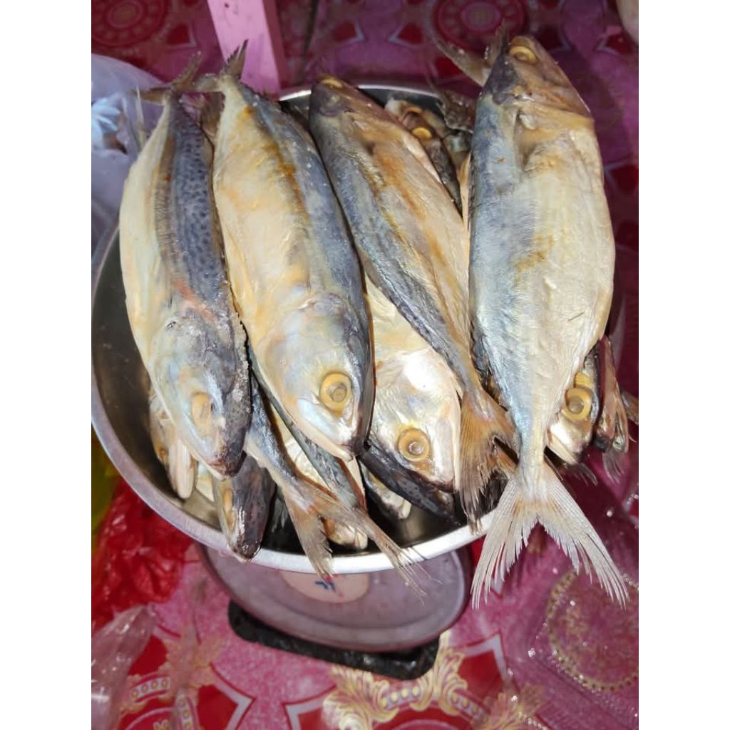 

ikan asin peda lampung sedap Nikmat.