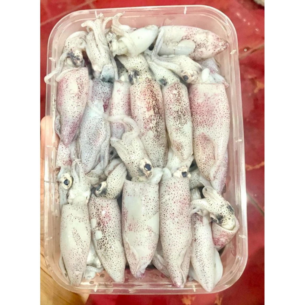 

Ready baby cumi fresh 1pck tekstur