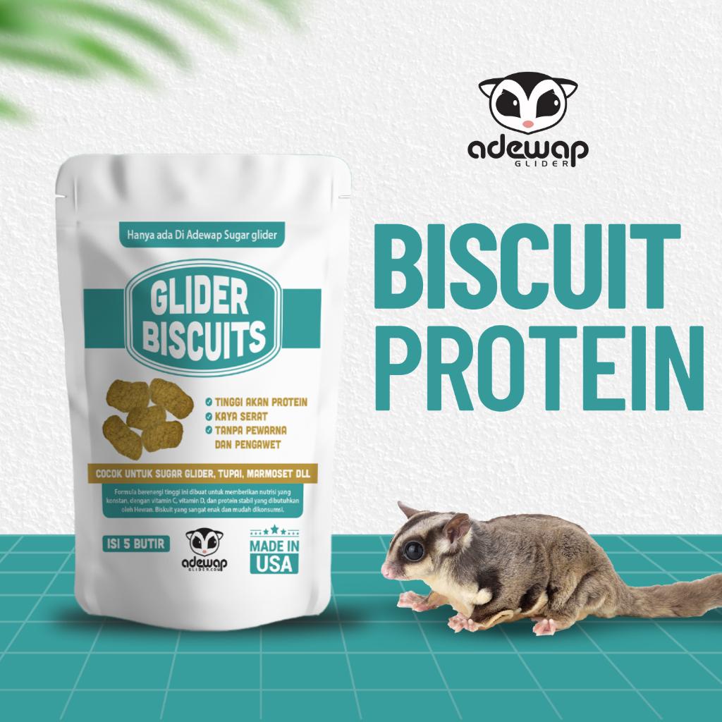ADEWAP GLIDER Glider Biscuits : Makanan Biscuit Sugar Glider Tinggi Protein