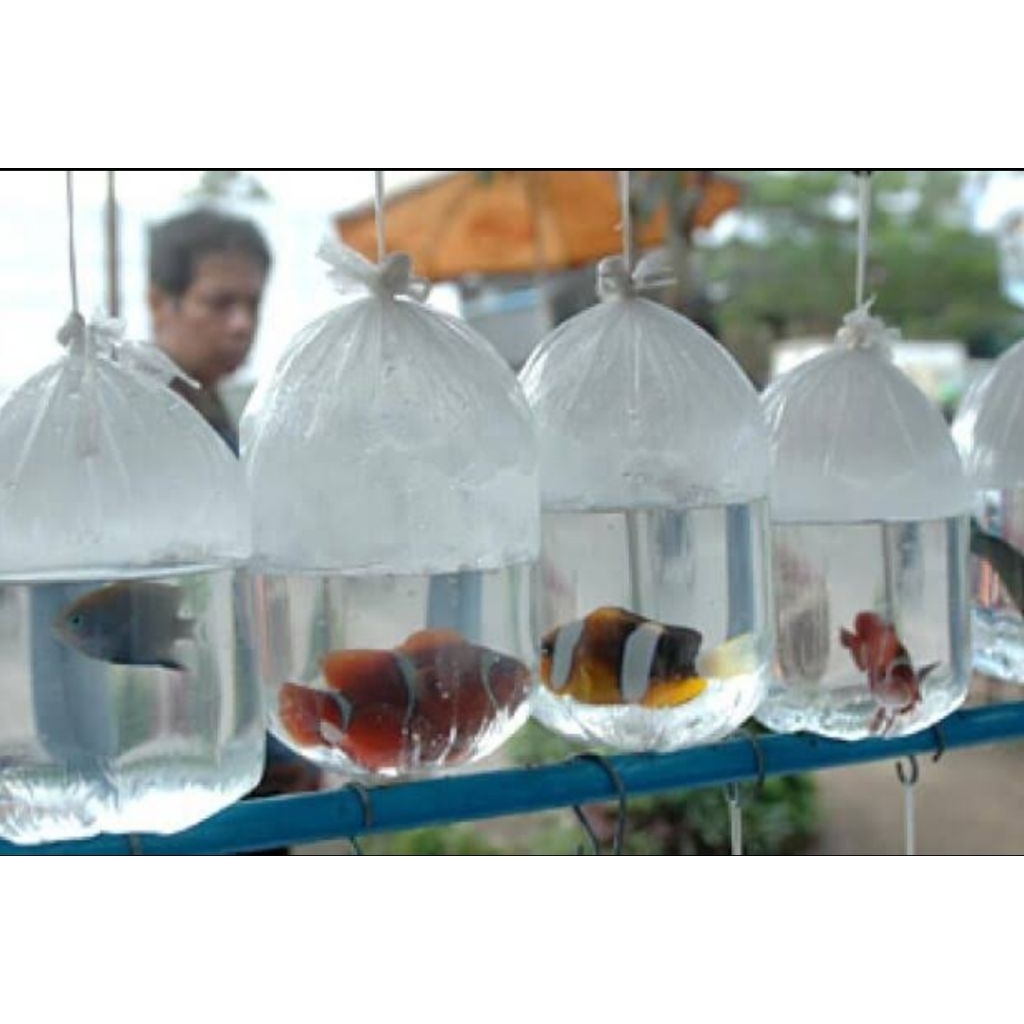 plastik packing ikan per pcs