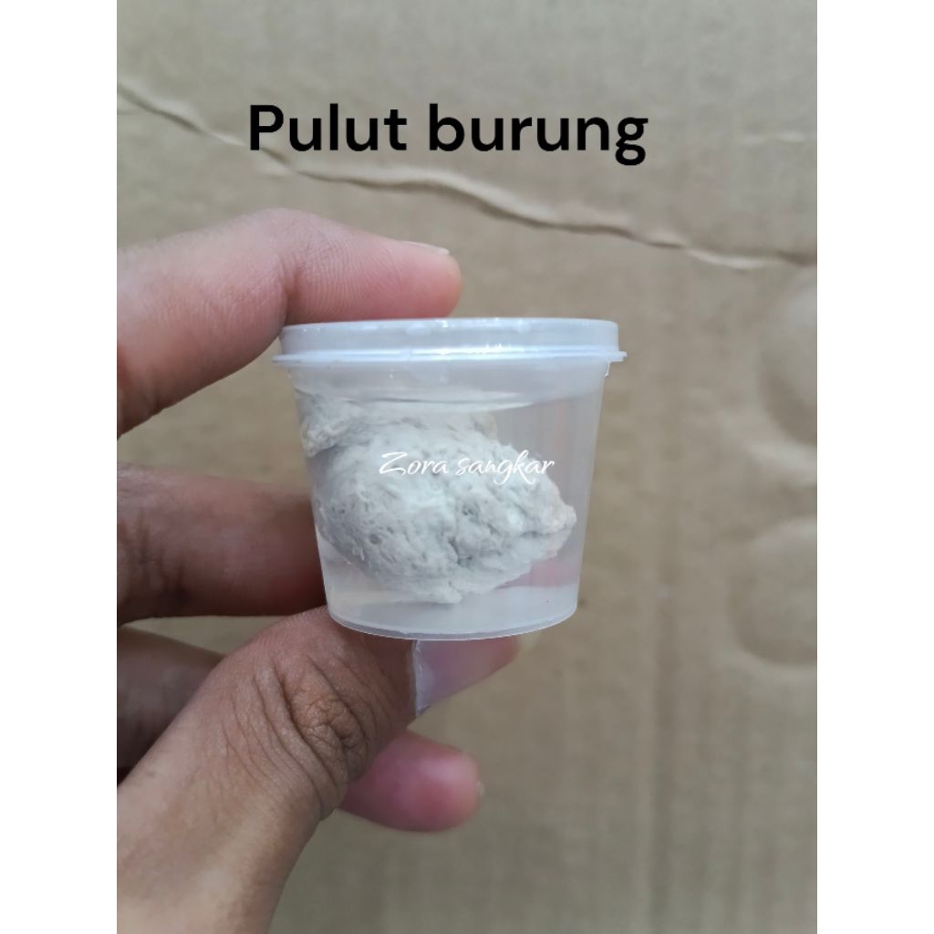 PULUT ALAMI LEM BURUNG SUPER LENGKET