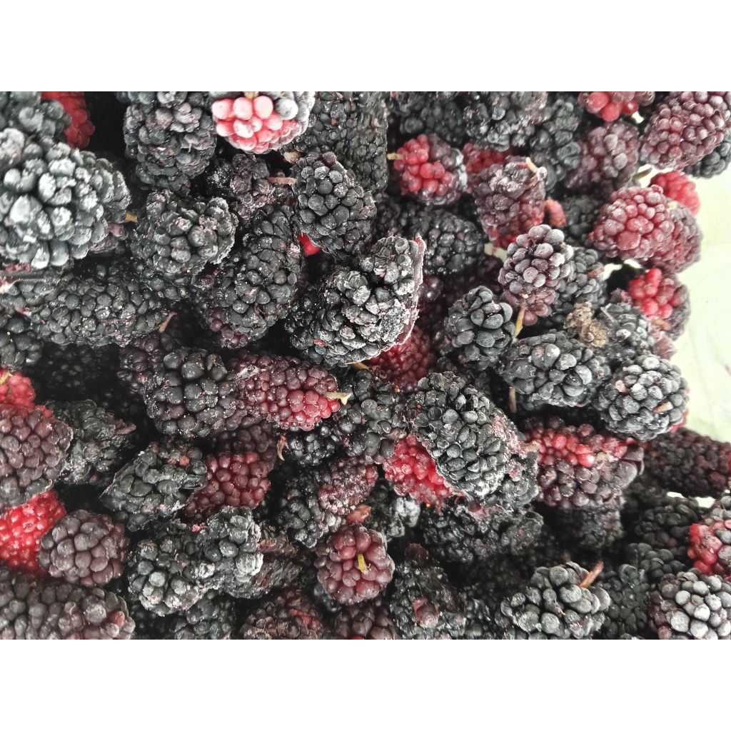 

Buah Mulberry Frozen | Murbei Frozen / Beku | khusus kota Medan instan | 500 gram