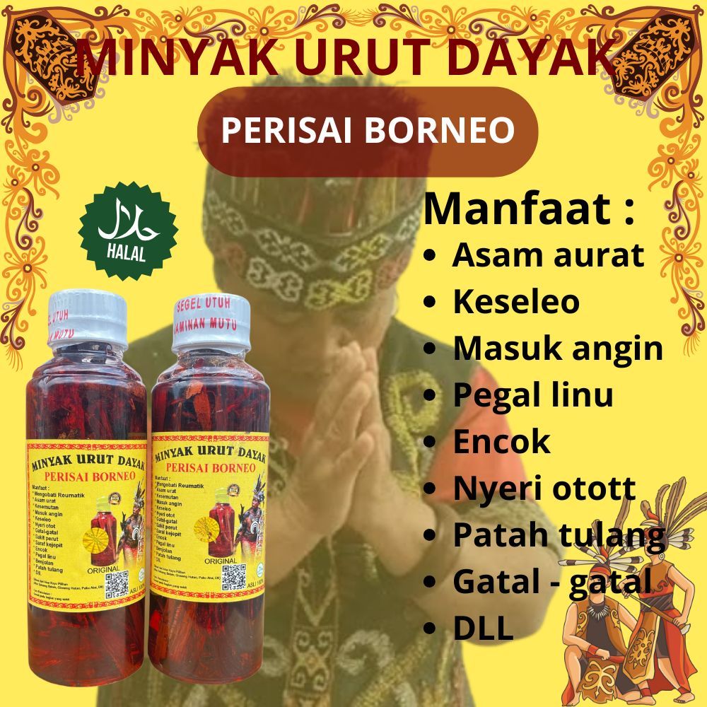 MINYAK URUT DAYAK PERISAI BORNEO