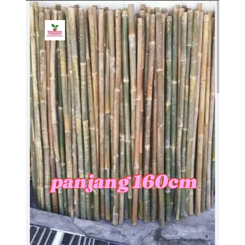 tongkat bambu 160cm