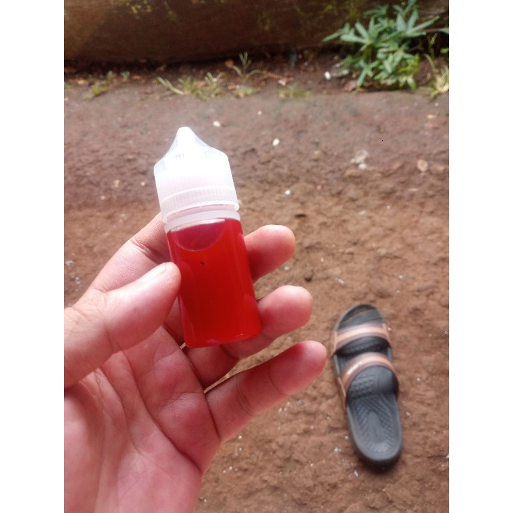 essen ikan mas gacor termahal