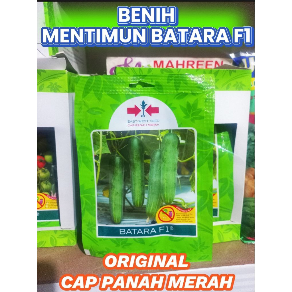 BENIH TIMUN MENTIMUN BATARA F1 CAP PANAH MERAH ORIGINAL