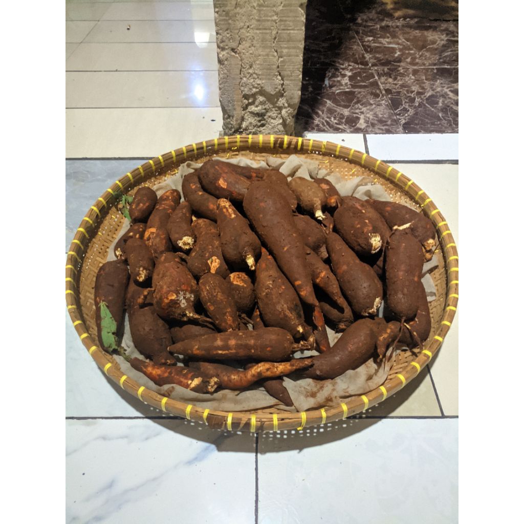 

singkong mentega kuning 1 kg