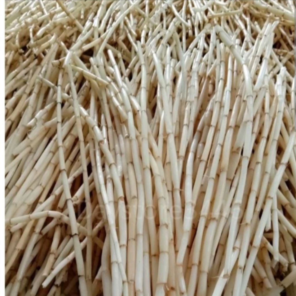 

akar alang alang segar 500gram