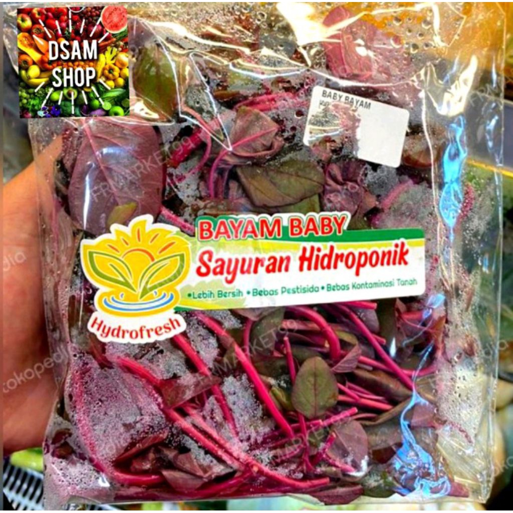 

Bayam Merah Baby Hidroponik / bayam merah fresh / sayur bayam / pack 150 gr-+