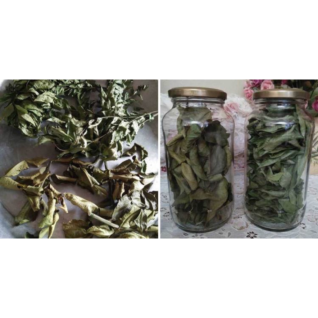 

Daun limau purut kering adalah daun dari pohon limau purut (Citrus hystrix) yang telah dikeringkan. Proses pengeringa