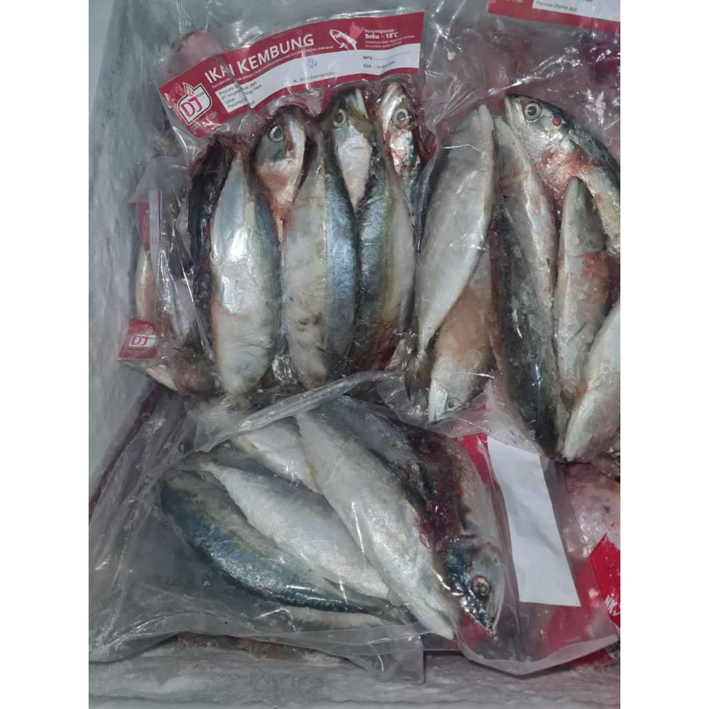 

ikan kembung 1kg
