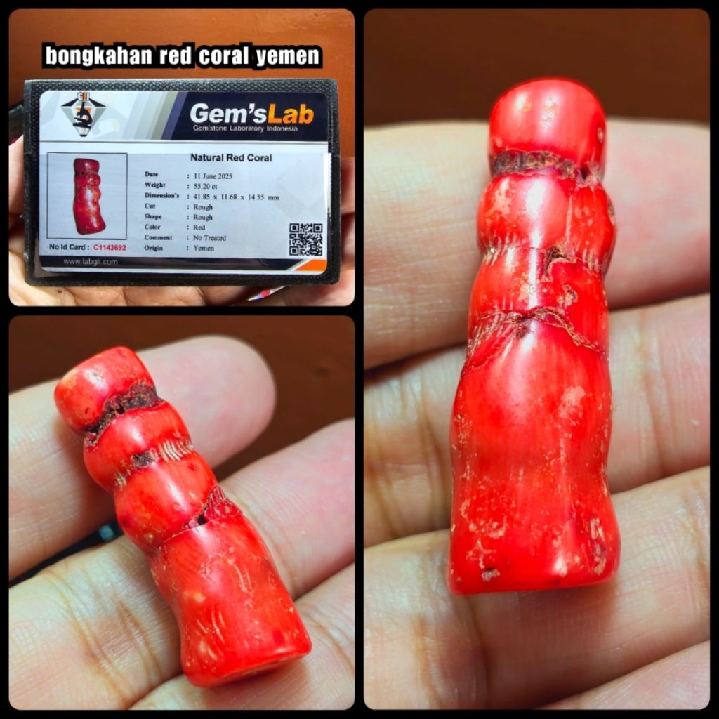 NATURAL BATU RED MARJAN CORAL SUPER JUMBO ( rough ya )