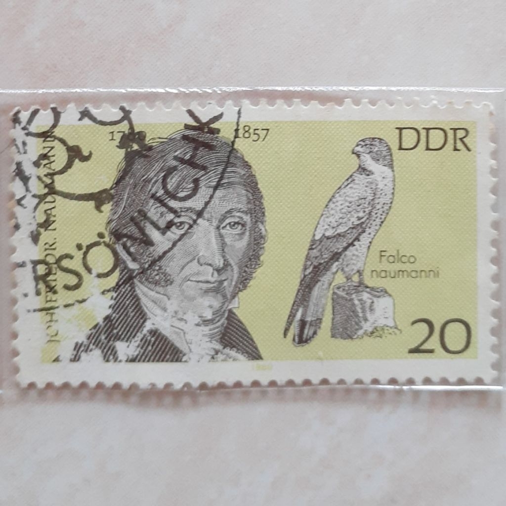 

Perangko Jerman Famous Personalities (Johann Friedrich Naumann (1780-1857), Lesser Kestrel (Falco) Tahun 1980