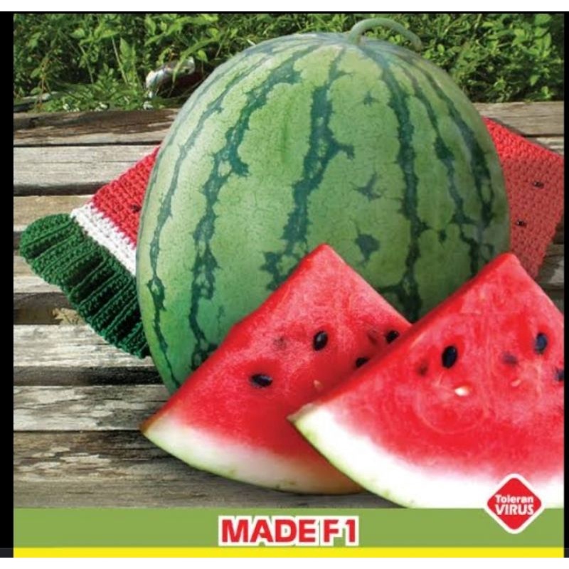 5 Bibit Semangka Merah Jumbo  MADE F1 Unggul Tanaman Super