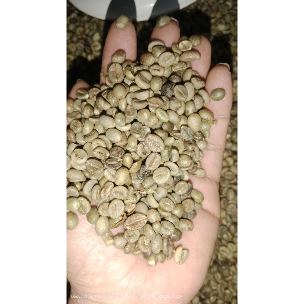 

Kopi robusta