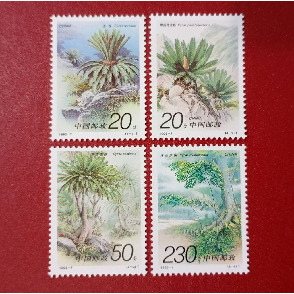 

PRANGKO CHINA CYCAS 1996 SET LENGKAP MINT