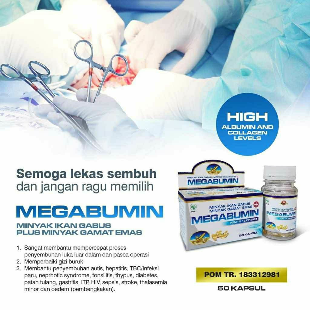 Kapsul minyak ikan gabus albumin plus gamat emas BPOM | MEGABUMIN Minyak Sari Ikan Kutuk Plus Minyak
