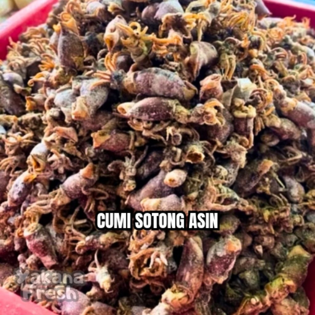 

Cumi Sotong Asin Telur 500g
