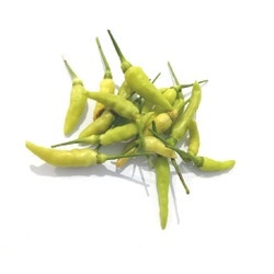 

Cabe hijau muda / cabai putih