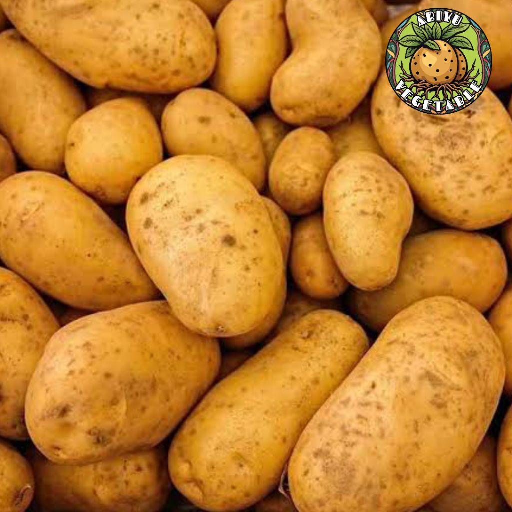 

TERLARIS Kentang ukuran jumbo 1kg