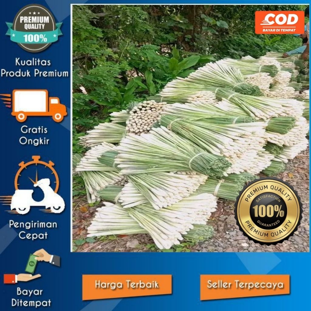 

Sereh/Serai 250 gram Wangi Untuk Masakan