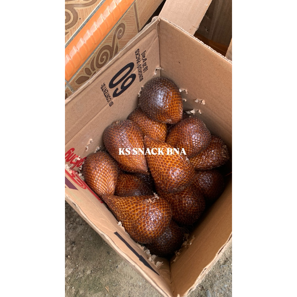 

Salak Pondoh Buah Salak Pondoh Organik Grade Premium 1kg isi 10-15 Buah Asli Manis Banjarnegara