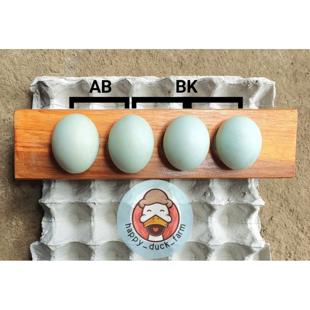 

Telur Bebek Mentah Omega3 Premium Fresh 12pcs . Grade AB