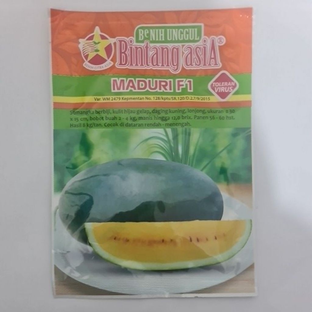 Bibit Semangka (Maduri F1)