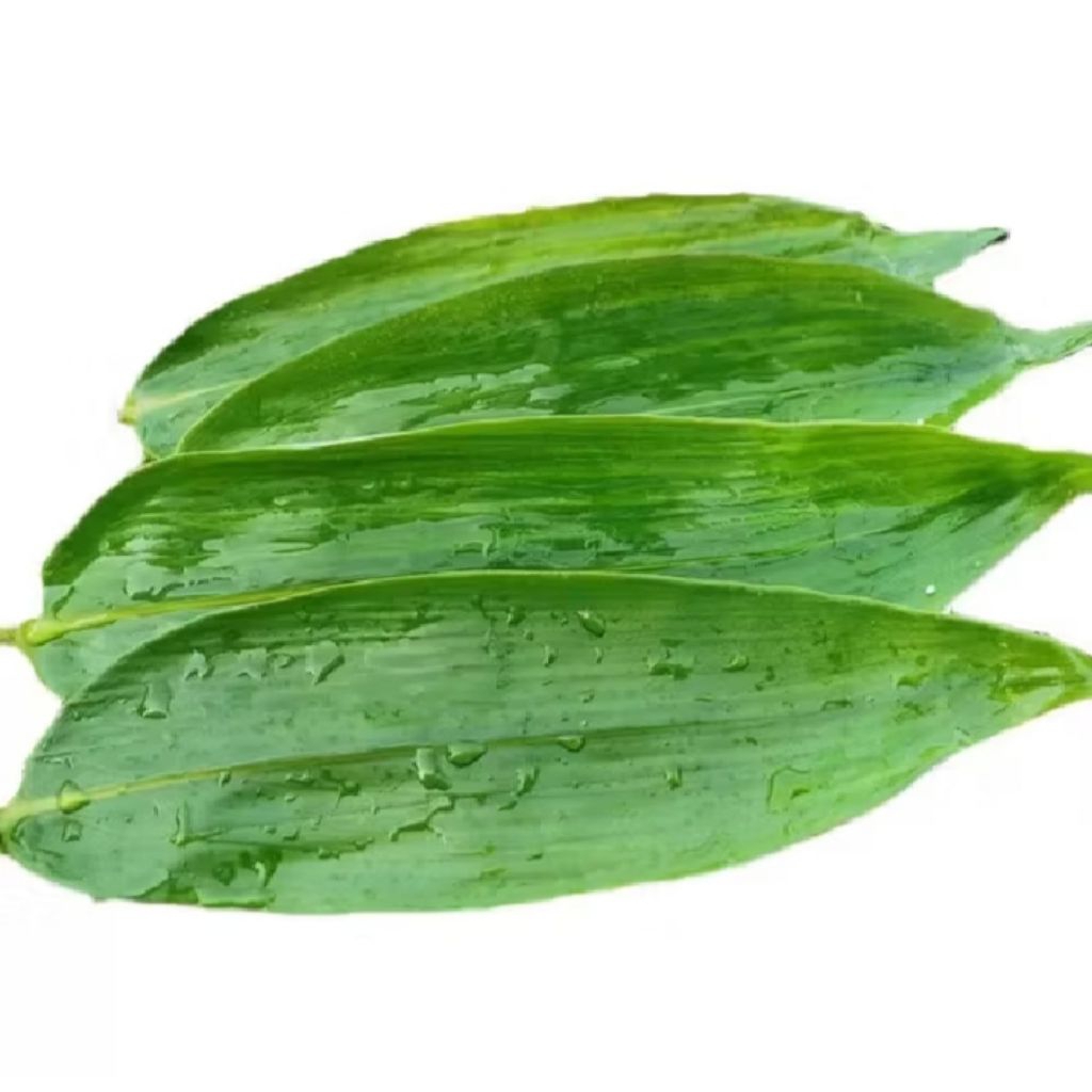 

ready daun bambu segar fres lembar/100biji