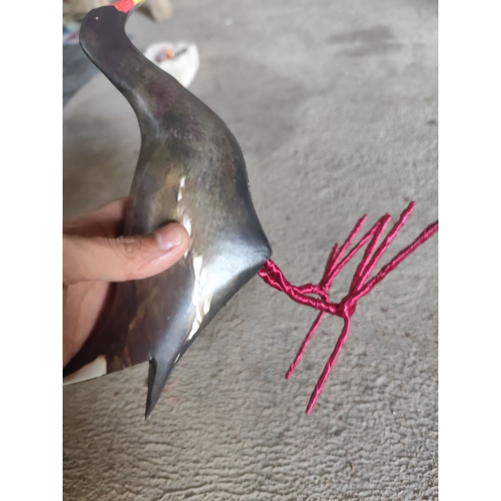 jontrot burung mandar batu / patung manuk pelan mandar hitam mirip asli