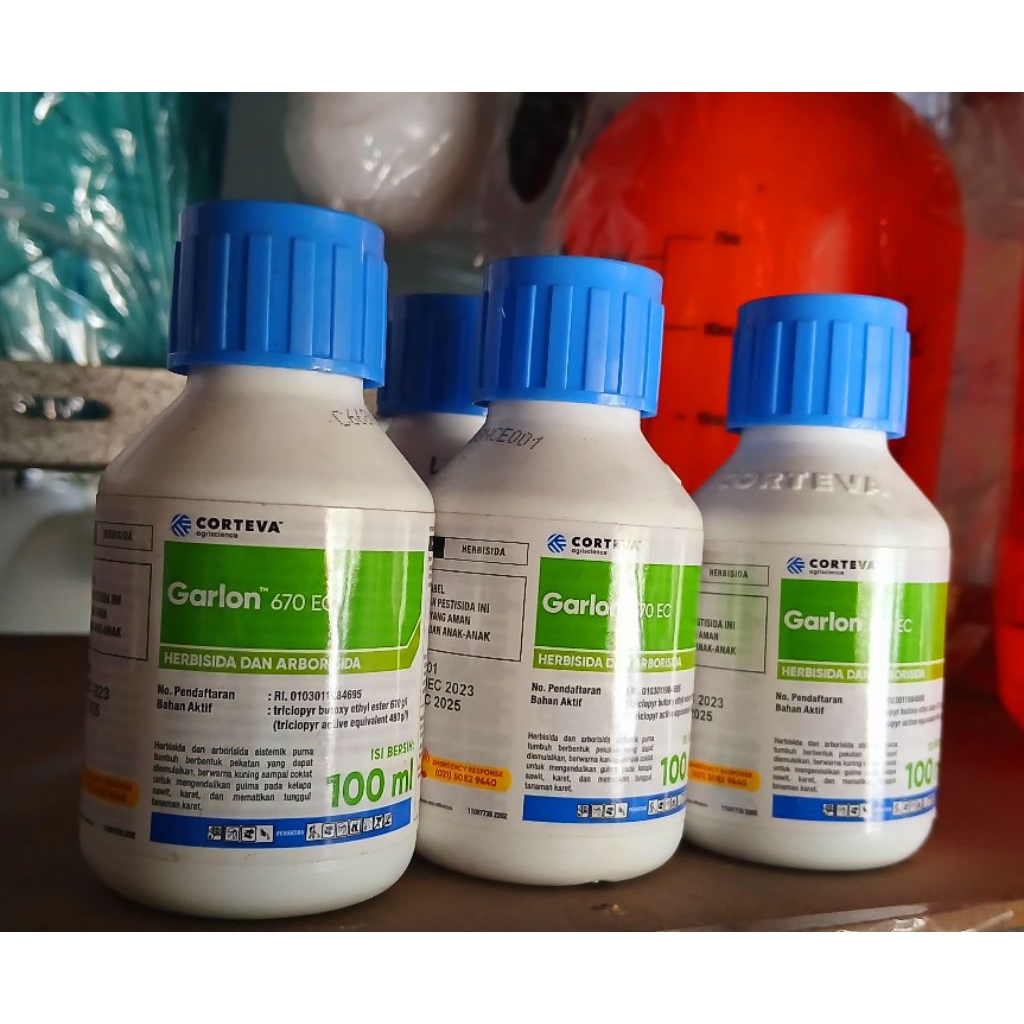 GARLON 670 EC PEMBASMI GULMA MEMBANDEL PEMBASMU TUNGGUL TUA POHON BESAR PEMBASMI POHON KARET TUA