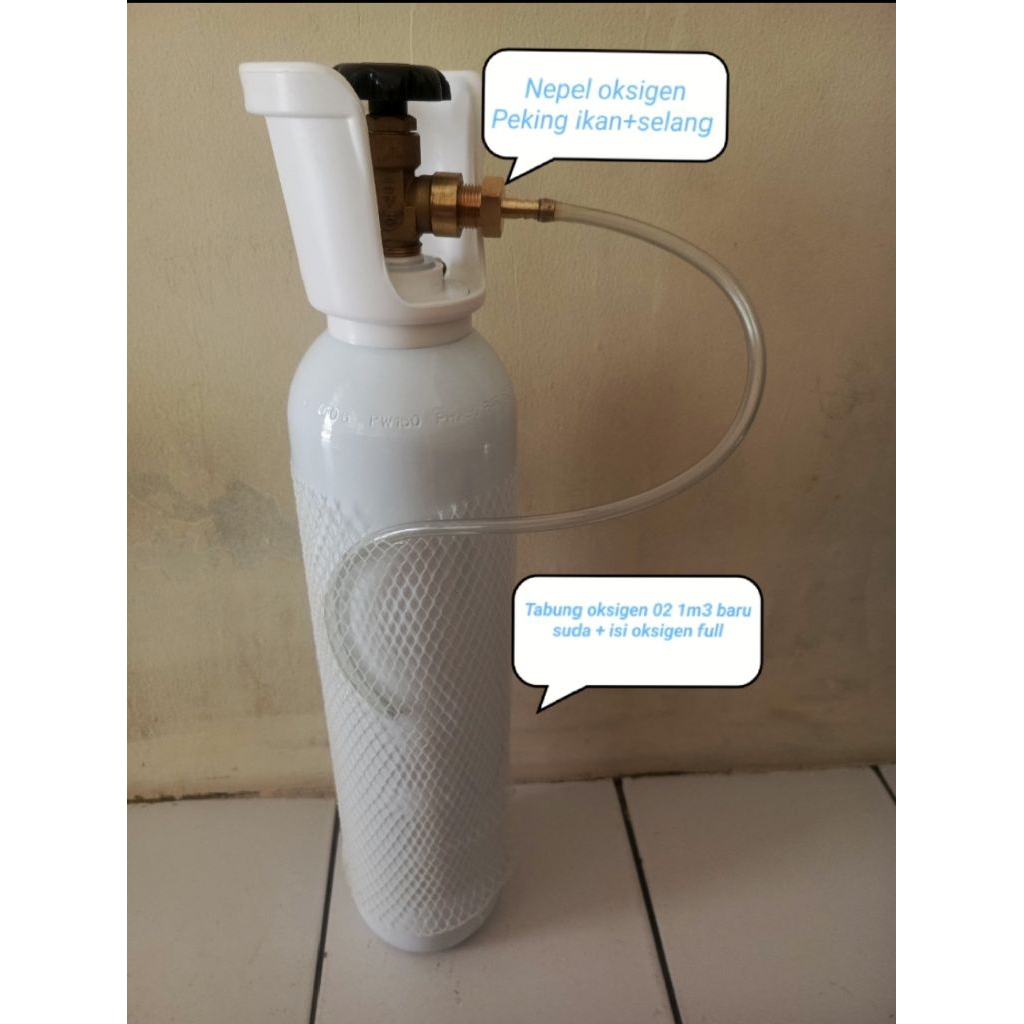 Sellyliavitaliavita Tabung Oksigen Peking Ikan