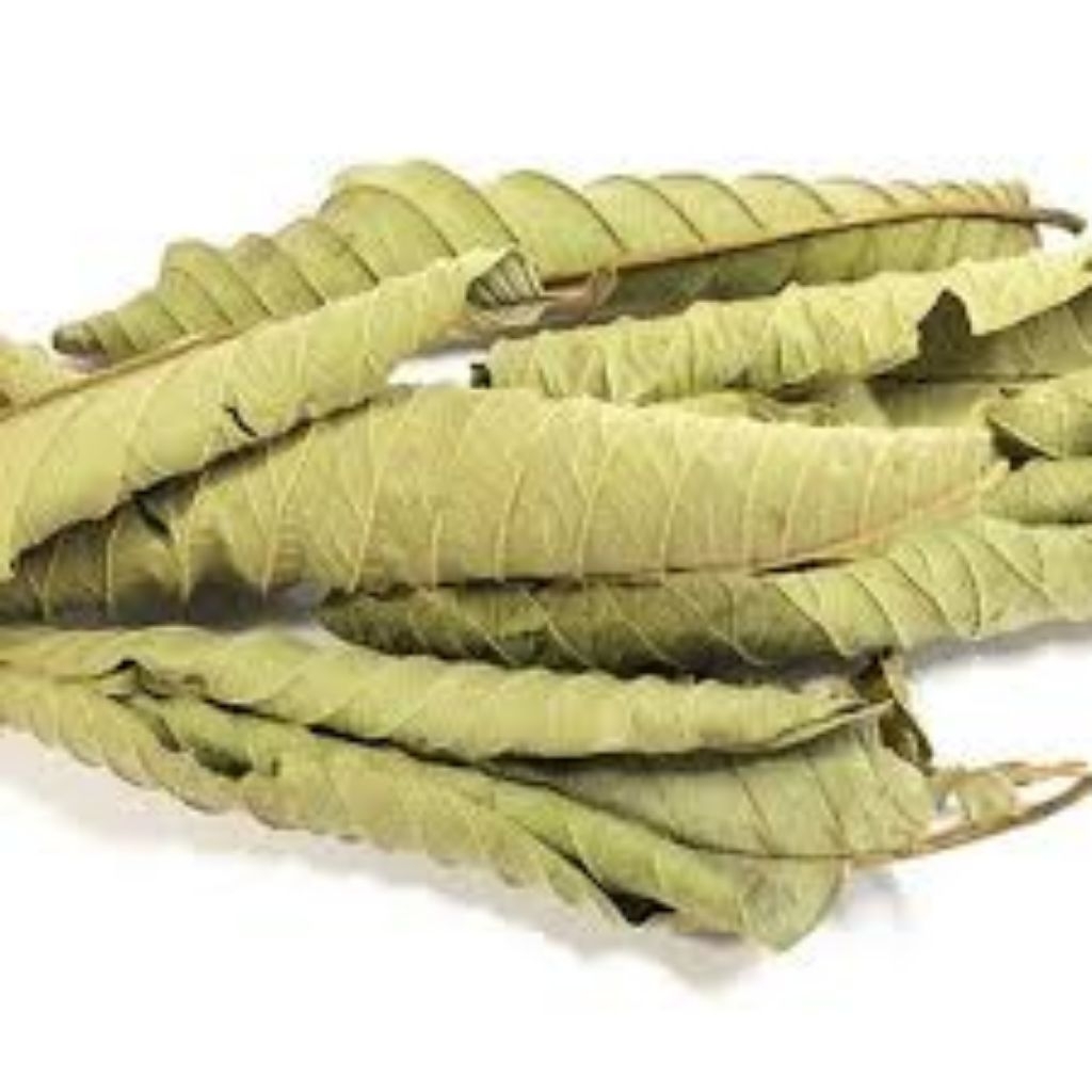 

[ANSAS_ID] DAUN JAMBU BIJI KERING 30 GRAM