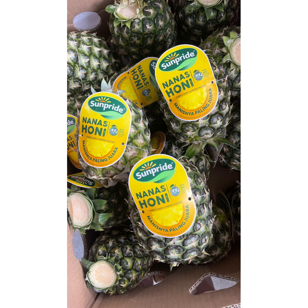 

NANAS MADU / NANAS HONI
