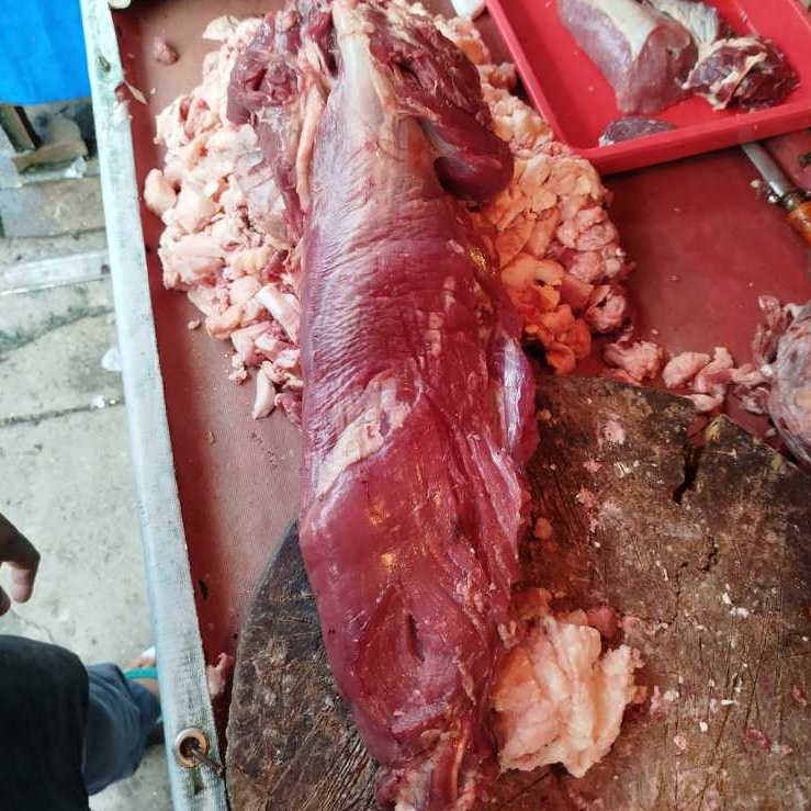 

Has Dalam / Tenderloin Whole / Tenderloin Steak