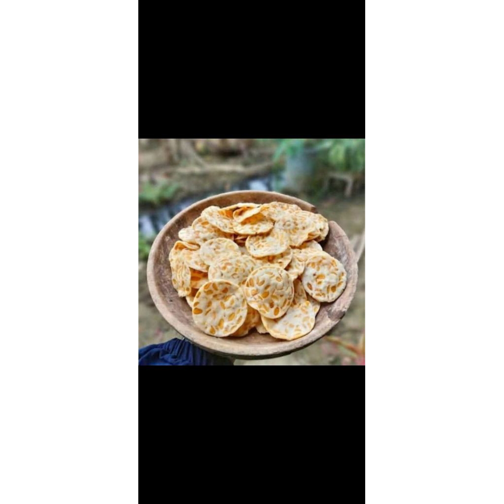 

keripik dzull