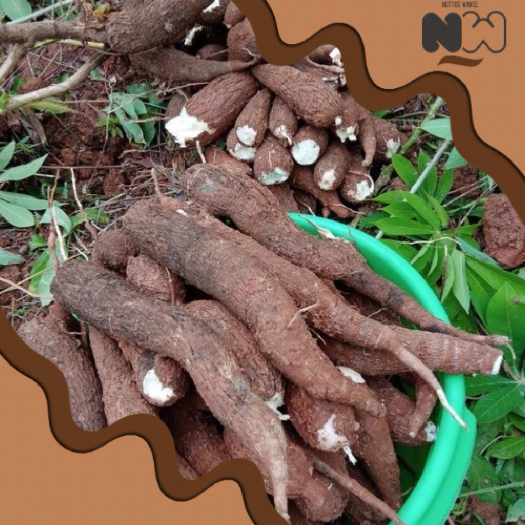 

Singkong Segar Pulen Pilihan - Fresh 1Kg - Singkong
