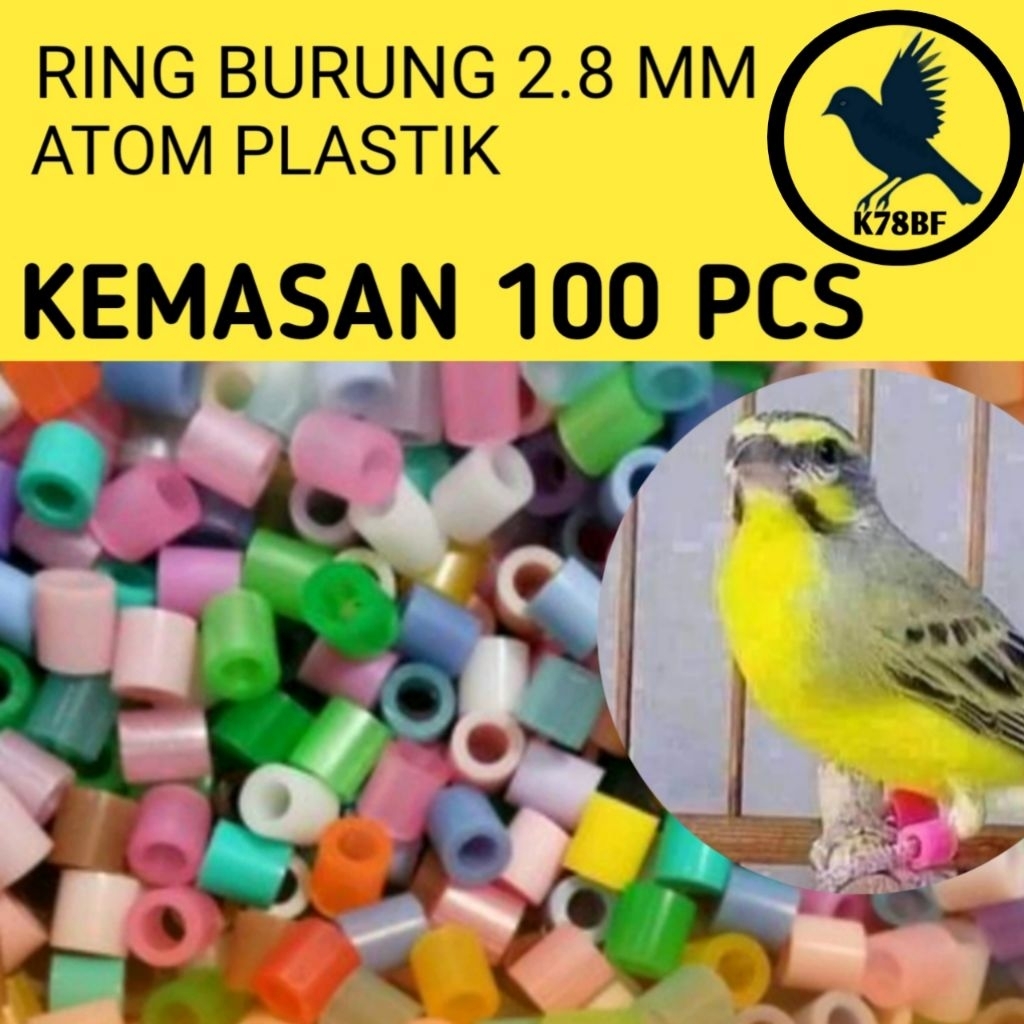 RING ATOM PLASTIK BURUNG FINCH