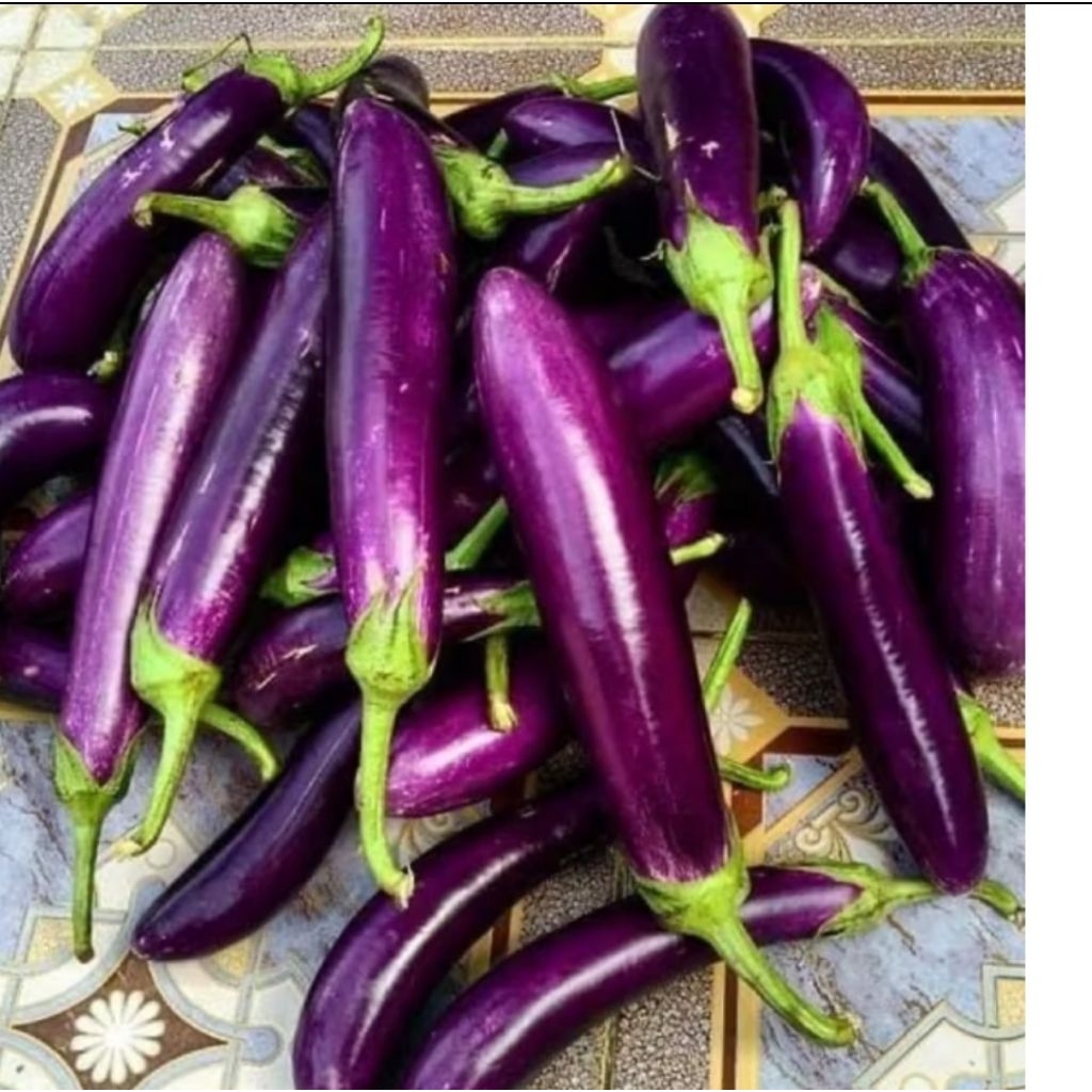 

terong ungu 1 kg