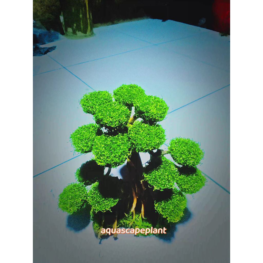 bonsai aquascape sintetis dekorasi aquarium hiasan aquarium