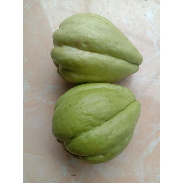 

labu siam per biji