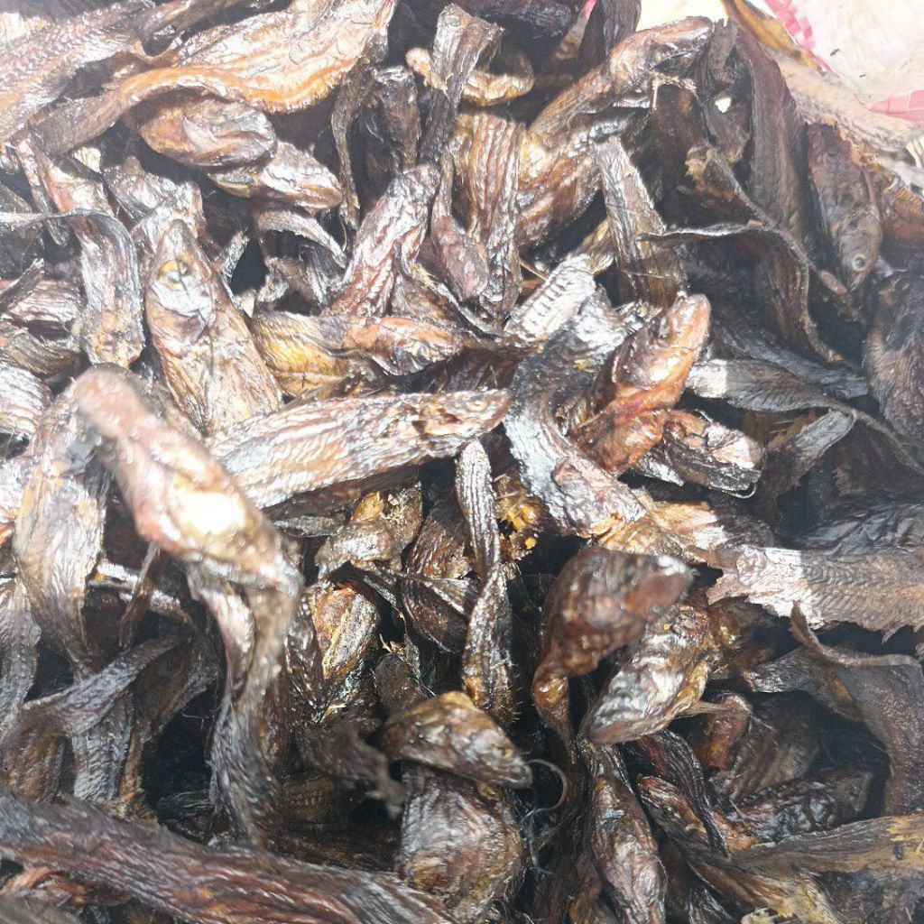 

ikan asap Salai lais ciok Dari rangau duri