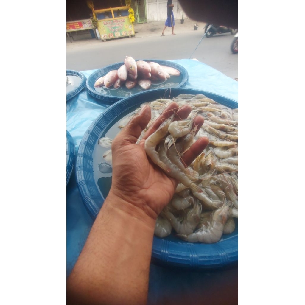 

Udang segar vaname