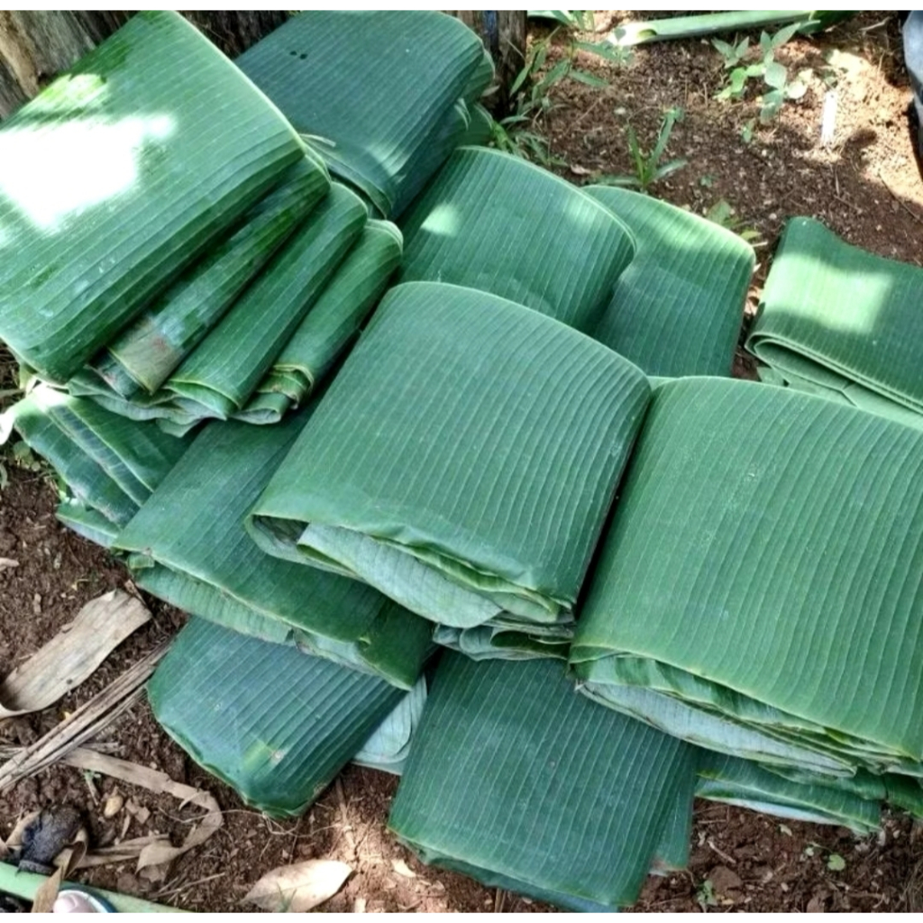 

Daun Pisang Segar 1kg Kualitas Terbaik