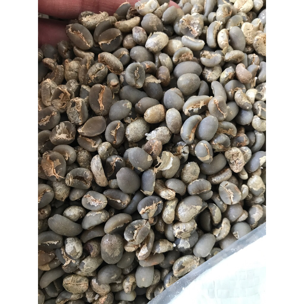 

Green Bean Arabika Gayo Semiwash G1