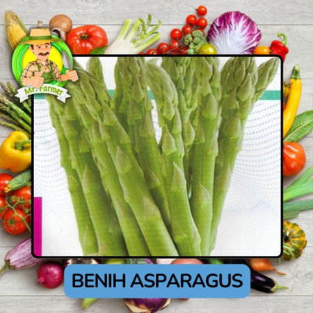 Benih Sayuran Asparagus Benih Plihan