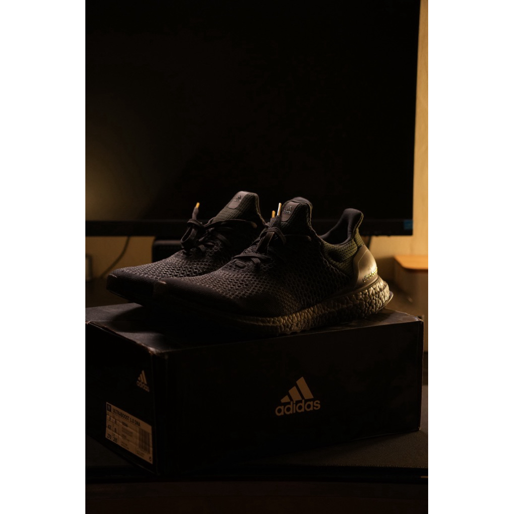 Ultraboost 1.0 DNA Unisex