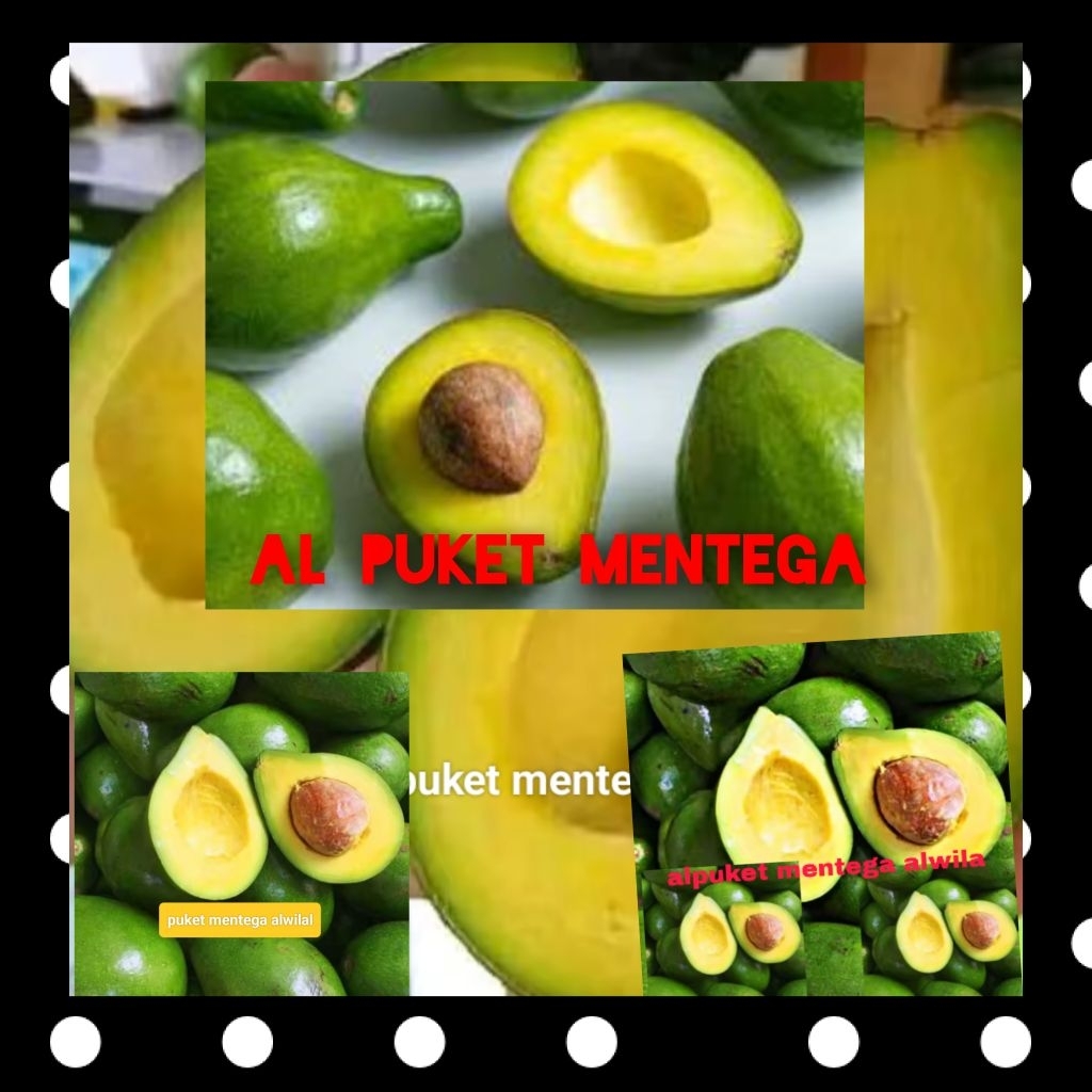 

alpuket mentega fresh 1kg isi 4567