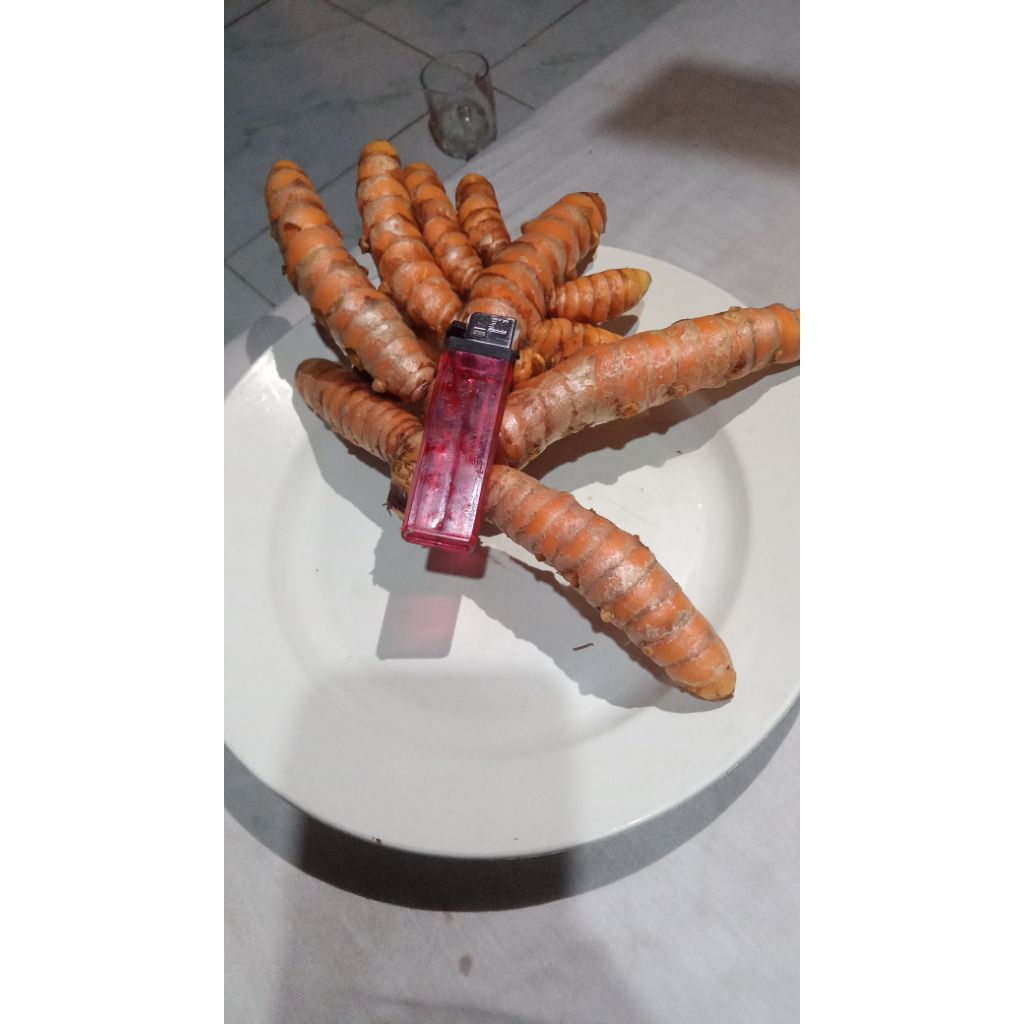 

kunir super (COD) toko bakul_amanah mahal tapi KWALITAS